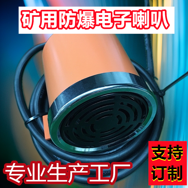 DLEC-12-24矿用浇封型电子喇叭